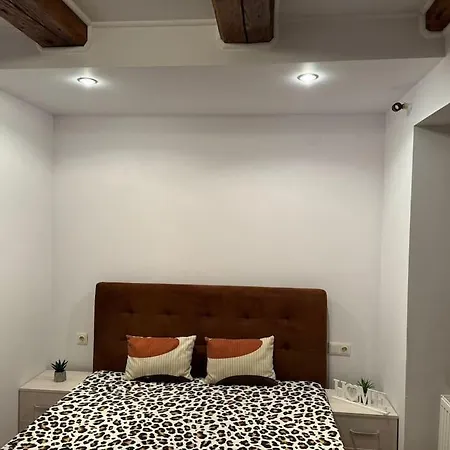 Iazi Apartament Braşov Exterior foto