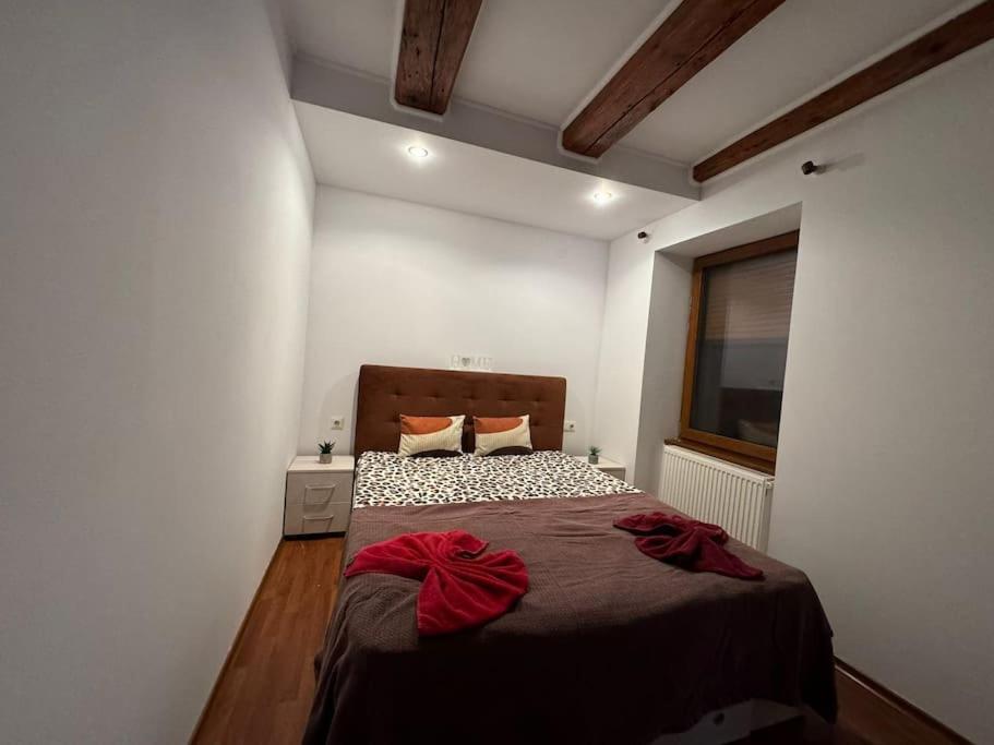 Apartamento Iazi
